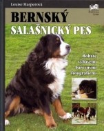 Bernský salašnický pes - cena, porovnanie