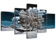 Gario Obraz na plátne Záhadné silné stromy 125 x 70 cm - cena, porovnanie