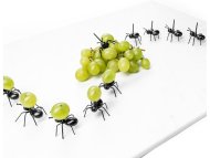 Napichovadlá na jednohubky - mravci - cena, porovnanie