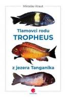 Tlamovci rodu Tropheus z jezera Tanganik - cena, porovnanie