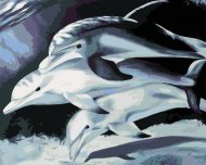 Zuty Maľovanie podľa čísel Tri delfíny, 80x100cm napnuté plátno na rám - cena, porovnanie