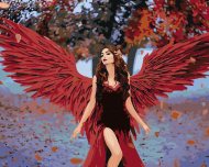 Zuty Maľovanie podľa čísel Žena s anjelskými červenými krídlami, 80x100cm napnuté plátno na rám - cena, porovnanie