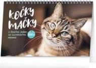 Kočky/Mačky CZ/SK 2024 - stolní kalendář - cena, porovnanie