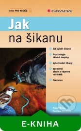 Jak na šikanu