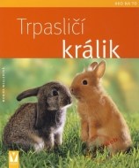 Trpasličí králik - cena, porovnanie