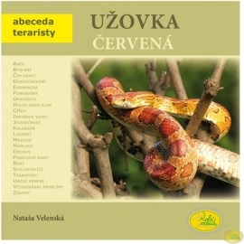 Užovka červená