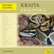 Krajta královská - cena, porovnanie