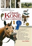 Úžasní koně - cena, porovnanie