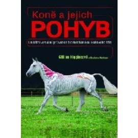 Koně a jejich pohyb