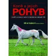 Koně a jejich pohyb - cena, porovnanie