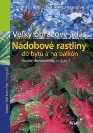 Nádobové rastliny do bytu a na balkón - Veľký obrazový atlas