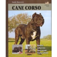 Cane corso - cena, porovnanie