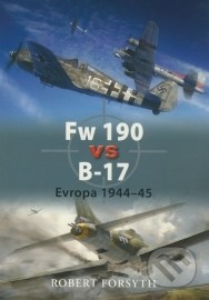 Fw 190 vs B–17