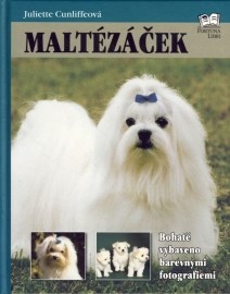 Maltézáček