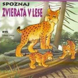 Zvieratá v lese