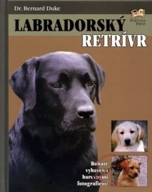 Labradorský retrívr