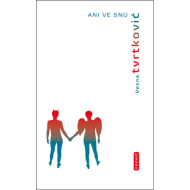 Ani ve snu - cena, porovnanie