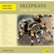 Sklípkani rodu Brachypelma - cena, porovnanie