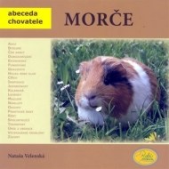 Morče - cena, porovnanie