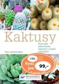 Kaktusy