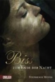 Bis zum Ende der Nacht