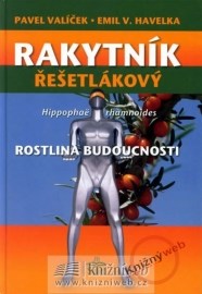 Rakytník rešetlákový