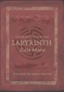 Labyrinth Illustrated - cena, porovnanie