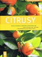 Citrusy - cena, porovnanie