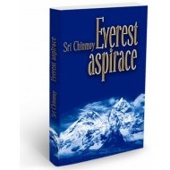 Everest aspirace