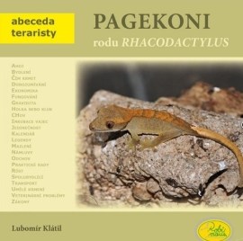 Pagekoni rodu Rhacodactylus