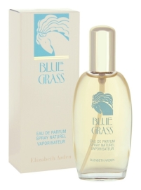 Elizabeth Arden Blue Grass 100ml