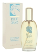 Elizabeth Arden Blue Grass 100ml - cena, porovnanie