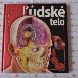 Ľudské telo