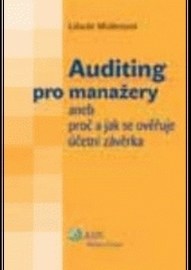 Auditing pro manažery