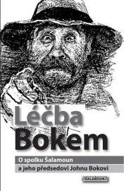 Léčba Bokem