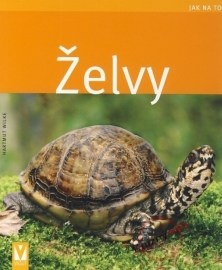 Želvy