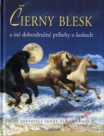 Čierny Blesk a iné dobrodružné príbehy o koňoch