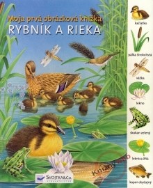 Rybník a rieka