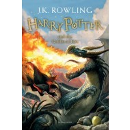 Harry Potter and the Goblet of Fire - cena, porovnanie