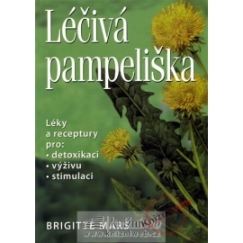 Léčivá pampeliška