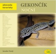 Gekončík noční - cena, porovnanie