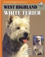 West Highland White Teriér - cena, porovnanie