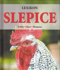 Slepice