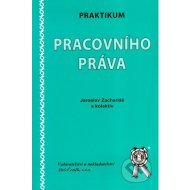 Praktikum pracovního práva - cena, porovnanie