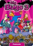 Big Bugs 3 - Flashcards - cena, porovnanie