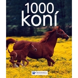 1000 koní