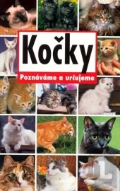 Kočky