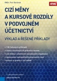 Cizí měny a kursové rozdíly v podvojném účetnictví