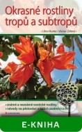 Okrasné rostliny tropů a subtropů - cena, porovnanie