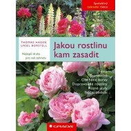 Jakou rostlinu kam zasadit